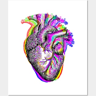 Rainbow Heart Posters and Art